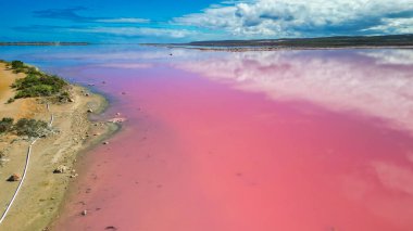 Aerial view of Hutt Lagoon, the stunning pink lake in Port Gregory, Western Australia. clipart