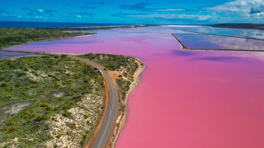 Hutt Gölü 'nün havadan görünüşü, Batı Avustralya, Port Gregory' deki büyüleyici pembe göl..