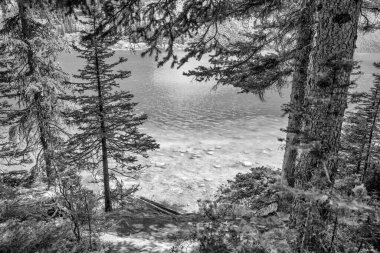 Huzurlu Güzellik - Moraine Gölü 'nün Yansıtıcı Suları Etrafı Rocky Dağlarıyla çevrili.