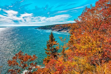 Acadia Ulusal Parkı, Maine 'de Sonbahar Saadeti, Muhteşem Sonbahar Yeşillikleri.