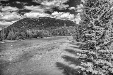 Banff Town 'un karşısındaki Bow Nehri Alberta, Kanada.
