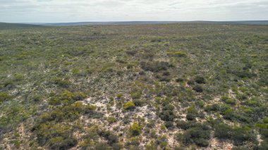Kalbarri Ulusal Parkı, Batı Avustralya Kanyonu 'ndaki Z Bend' in hava görüntüsü.