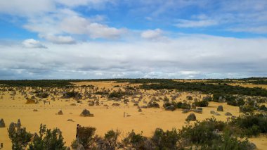 Pinnacles Çölü 'nün gün batımında altın sarısı renklerle nefes kesici görüntüsü, Batı Avustralya..