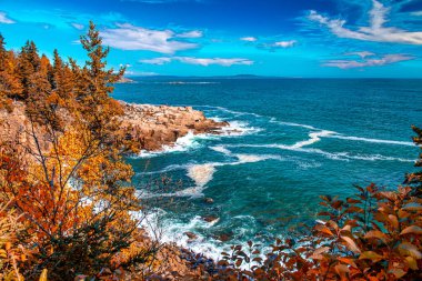 Vibrant Yeşillik Mevsiminde Acadia Ulusal Parkı, Maine 'de Şaşırtıcı Sonbahar Manzaraları.