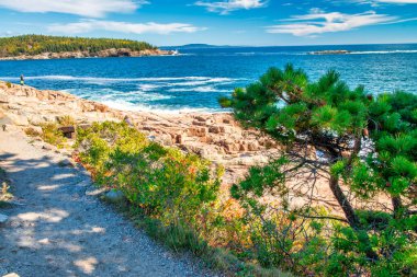Vibrant Yeşillik Mevsiminde Acadia Ulusal Parkı, Maine 'de Şaşırtıcı Sonbahar Manzaraları.