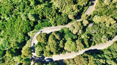 Downward aerial view of a beautful windy road across a forest.