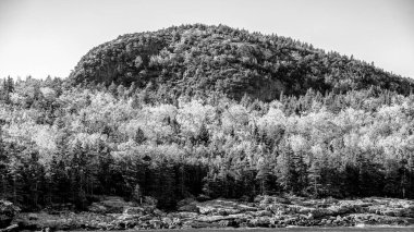 Sonbahar mevsiminde sonbahar yaprakları. Sonbaharda kızıl sonbahar manzaraları, New England 'ın ağaçları ve dağları.