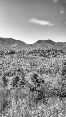 Sonbahar mevsiminde sonbahar yaprakları. Sonbaharda kızıl sonbahar manzaraları, New England 'ın ağaçları ve dağları.