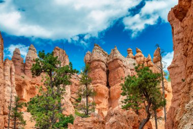 Yaz mevsiminde Bryce Canyon Ulusal Parkı 'nın inanılmaz manzarası, Utah.
