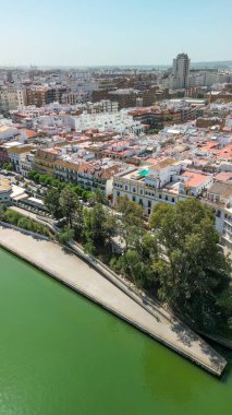 Stunning aerial view of Seville, Spain, showcasing the Cathedral and historic cityscape. clipart