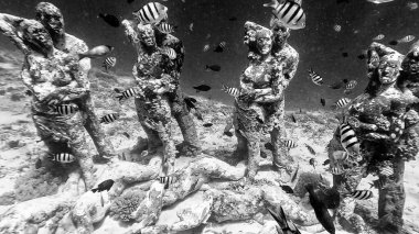 Bask Nest underwater art installation with vibrant fish at Gili Meno dive site. clipart