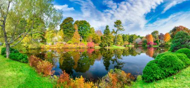 Asticou Azalea Bahçesi Yaprak Gölü Yansımaları, Acadia Ulusal Parkı - Maine, ABD.