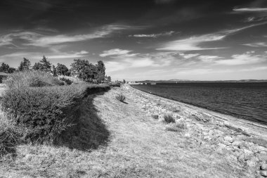 Güneşli bir günde Vancouver Adası 'nın güzel kıyı şeridi.