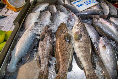 Tayland 'da geleneksel bir balık pazarında sergilenen taze deniz ürünlerinin yakın görüntüsü.