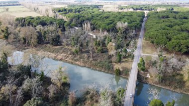 San Rossore 'ın Toskana, İtalya' daki panoramik hava manzarası, bozulmamış doğa ve vahşi yaşam.