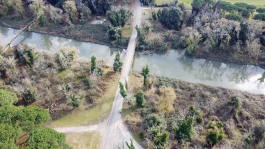 Pisa 'daki San Rossore Parkı' nın çarpıcı insansız hava aracı görüntüleri. Ormanlar ve kıvrımlı nehirler..