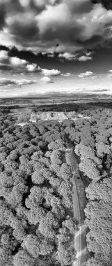 San Rossore 'ın panoramik hava manzarası, Pisa, uçsuz bucaksız doğa ve kıyı güzelliğiyle.