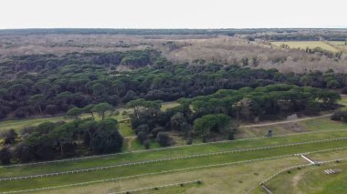 İtalya 'nın Pisa kentindeki San Rossore Doğal Parkı' nın yemyeşil ve kıyı şeridi manzarası.