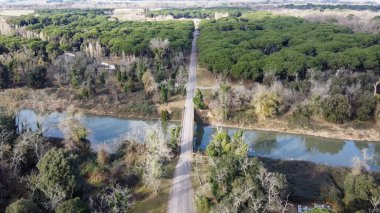 İtalya 'nın Pisa kentindeki San Rossore Doğal Parkı' nın yemyeşil ve kıyı şeridi manzarası.