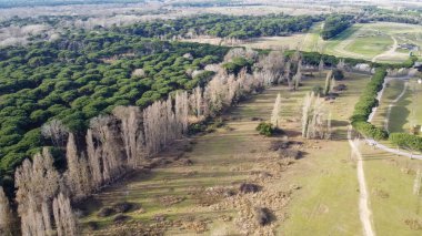 Pisa 'daki San Rossore Parkı' nın çarpıcı insansız hava aracı görüntüleri. Ormanlar ve kıvrımlı nehirler..