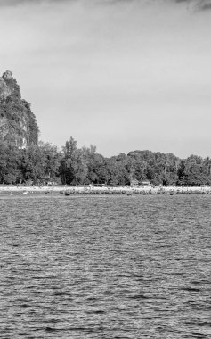 Phuket 'te kireçtaşı kayalıkları ve kristal suları olan tropik Railay Sahili cenneti.