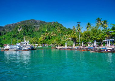 Phi Phi Adası, Tayland - 24 Aralık 2019: Phi Phi 'nin turkuaz kıyıları boyunca uzun kuyruklu botlar ve sürat tekneleri dizildi.