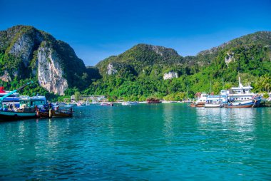 Phi Phi Adası, Tayland - 24 Aralık 2019: Phi Phi 'nin turkuaz kıyıları boyunca uzun kuyruklu botlar ve sürat tekneleri dizildi.
