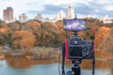 Sonbahar mevsiminde Central Park boyunca Manhattan Binaları.