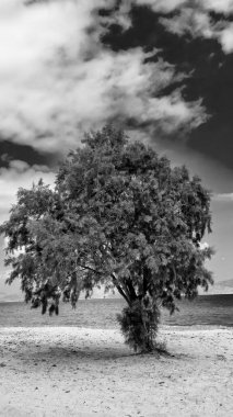 Kumlu plajları ve kayalık kıyıları olan Kos adasının nefes kesici kıyı manzarası.