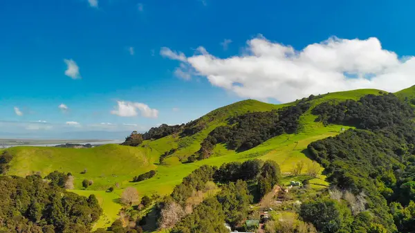 Yeni Zelanda 'da doğal güzelliklerle çevrili sık ormanların kuş bakışı perspektifi. 