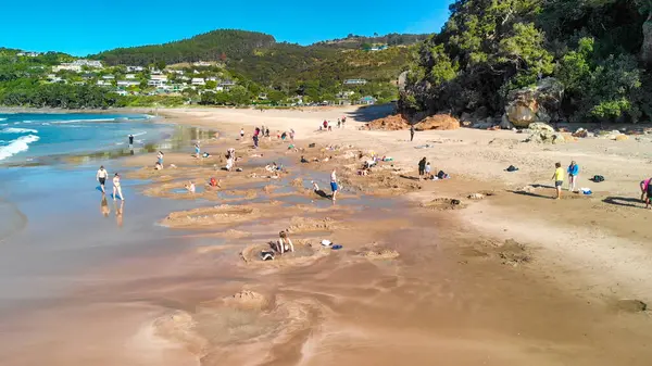 Sıcak Su Sahili, Yeni Zelanda 'nın kuş bakışı perspektifi doğal güzelliğini gözler önüne seriyor.. 
