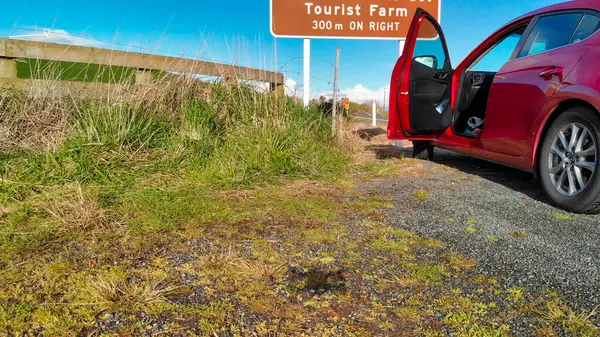 Hobbiton tepelerinin ve Yeni Zelanda 'nın çevresini saran yolun nefes kesici manzarası.. 