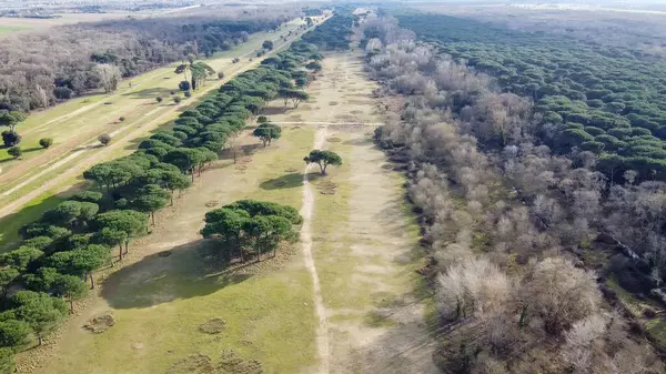 San Rossore 'ın panoramik hava manzarası, Pisa, uçsuz bucaksız doğa ve kıyı güzelliğiyle.