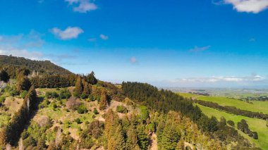 Yeni Zelanda 'da doğal güzelliklerle çevrili sık ormanların kuş bakışı perspektifi. 