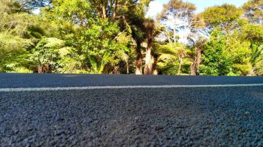 Yeni Zelanda 'da doğal güzelliklerle çevrili sık ormanların kuş bakışı perspektifi. 