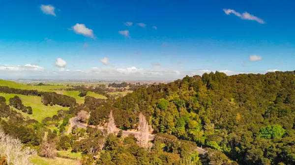 Yeni Zelanda 'da doğal güzelliklerle çevrili sık ormanların kuş bakışı perspektifi. 