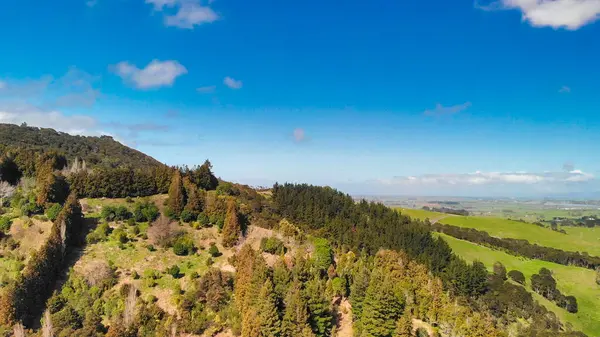 Yeni Zelanda 'da doğal güzelliklerle çevrili sık ormanların kuş bakışı perspektifi. 