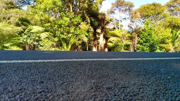 Yeni Zelanda 'da doğal güzelliklerle çevrili sık ormanların kuş bakışı perspektifi. 