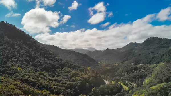 Yeni Zelanda 'da doğal güzelliklerle çevrili sık ormanların kuş bakışı perspektifi. 