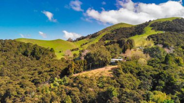 Yeni Zelanda ormanlarının hava manzarası yemyeşil ve yuvarlanan tepeleri gösteriyor..