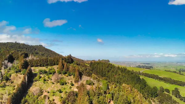 Yeni Zelanda 'da doğal güzelliklerle çevrili sık ormanın kuş bakışı perspektifi. 