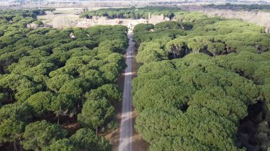 San Rossore 'ın panoramik hava manzarası, Pisa, uçsuz bucaksız doğa ve kıyı güzelliğiyle.