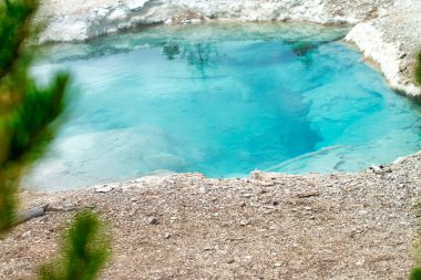 Norris Gayzer Havzası, Yellowstone Ulusal Parkı.