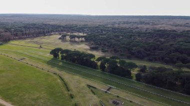 Pisa 'daki San Rossore Parkı' nın çarpıcı insansız hava aracı görüntüleri. Ormanlar ve kıvrımlı nehirler..