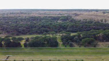 San Rossore 'ın panoramik hava manzarası, Pisa, uçsuz bucaksız doğa ve kıyı güzelliğiyle.