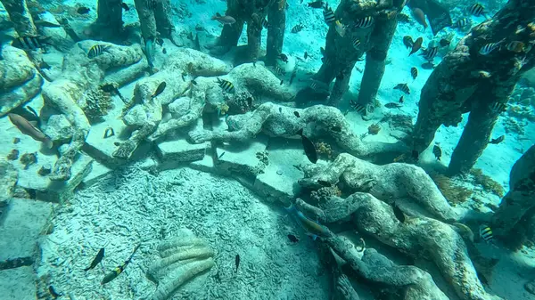 Gili Meno dalış sahasında canlı balıklar ile Bask Nest sualtı sanat kurulumu.