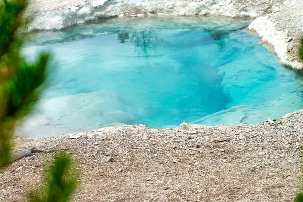 Norris Gayzer Havzası, Yellowstone Ulusal Parkı.