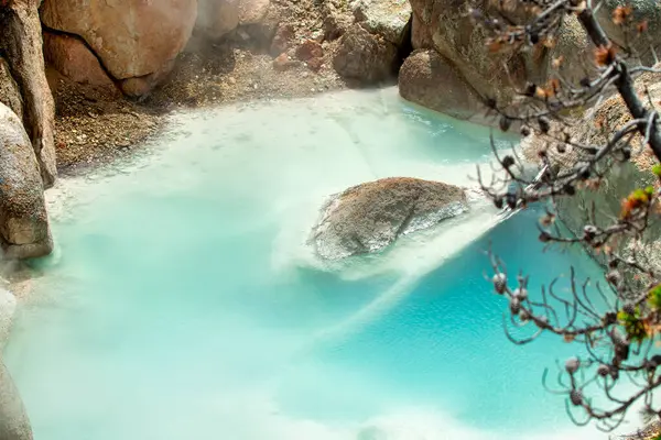 Norris Gayzer Havzası, Yellowstone Ulusal Parkı.