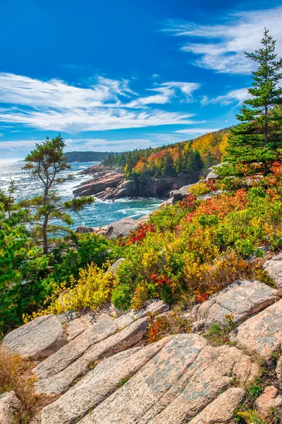 Acadia Ulusal Parkları Yeşillik Mevsimi, Doğanın Panoramik Güzelliği.  