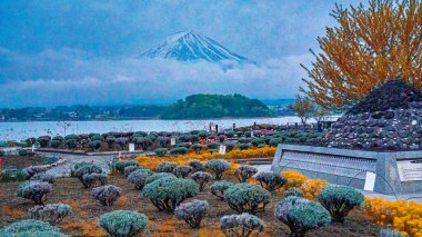 Kawaguchiko Gölü kıyısındaki Oishi Parkı yemyeşil ve Fuji Dağı manzaralı..